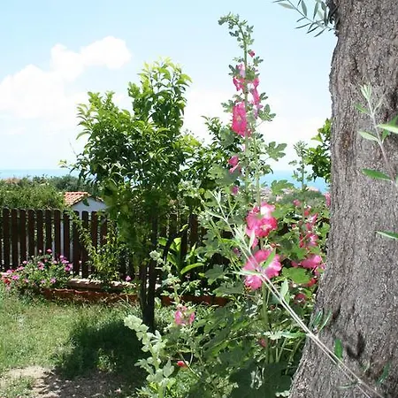 Bed & Breakfast Il Nido